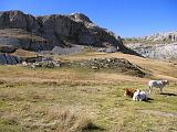 Via del Sale - Alpi Marittime - 187